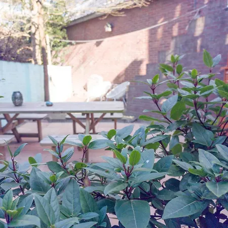 De Rode Ridder Zandvoort