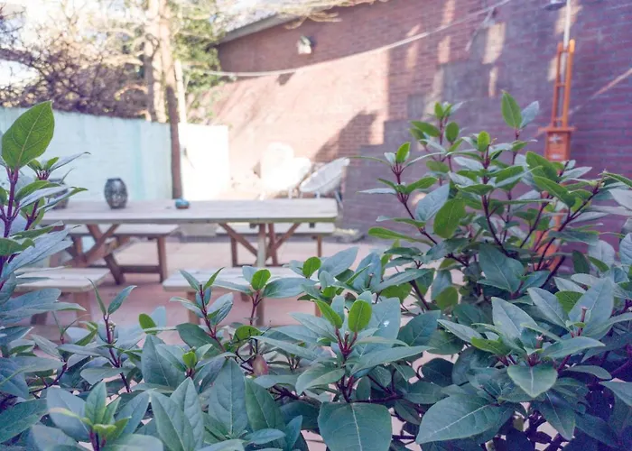 De Rode Ridder Zandvoort