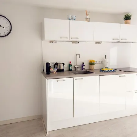 De Rode Ridder Apartment *